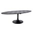 Eettafel Blax ovaal 250