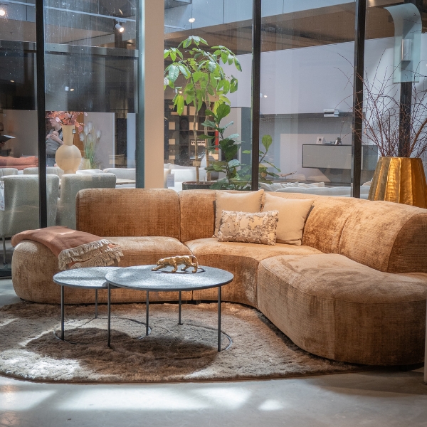 showroom paragon
